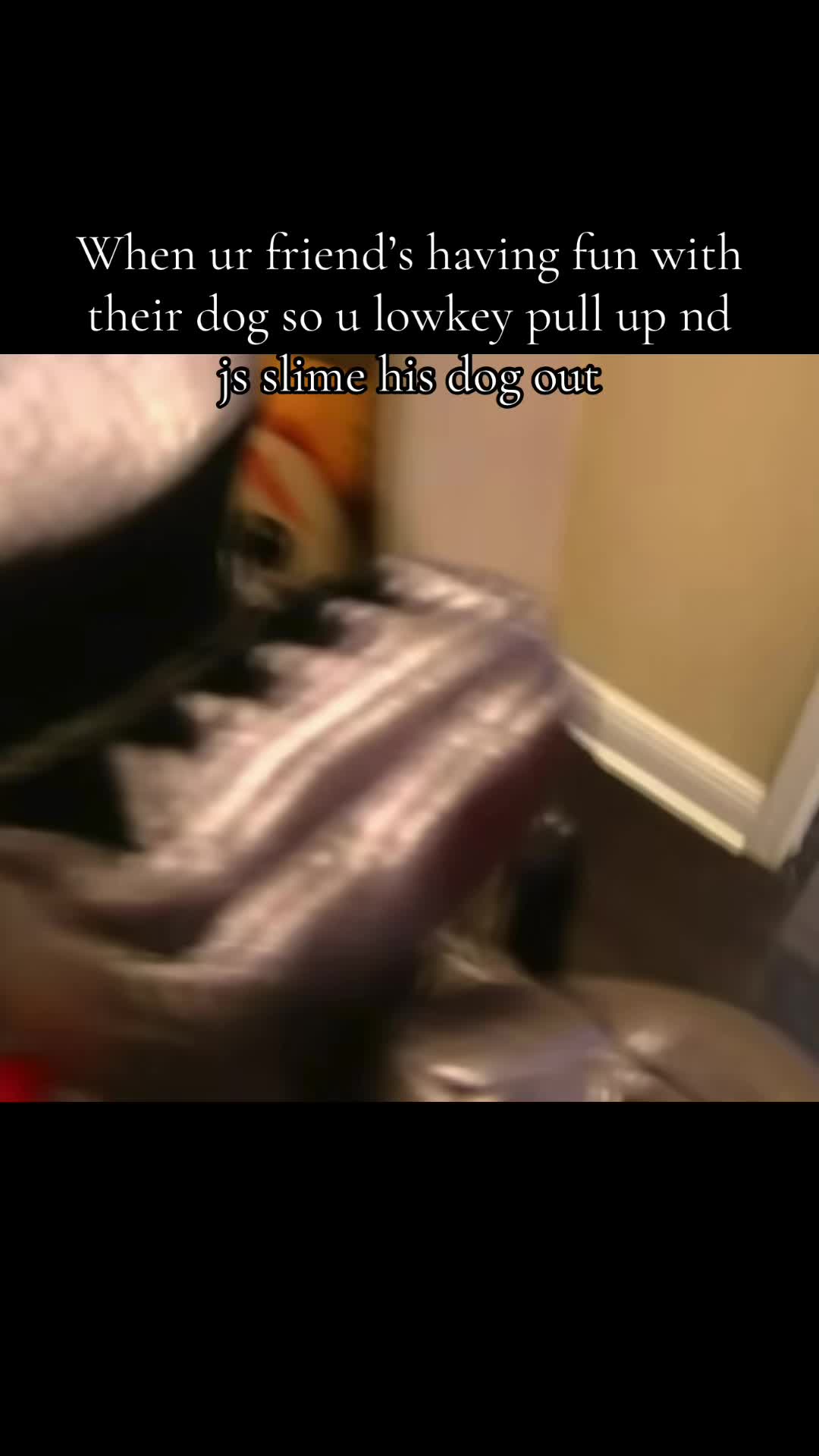 @myf
