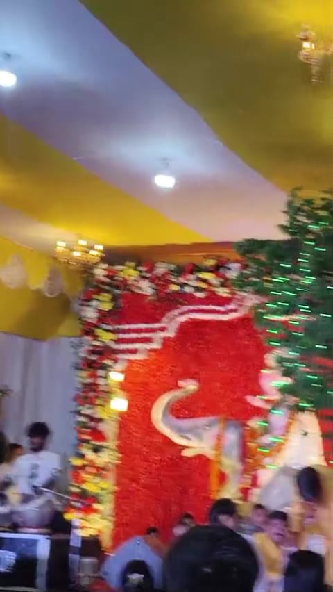 @palaknayak4