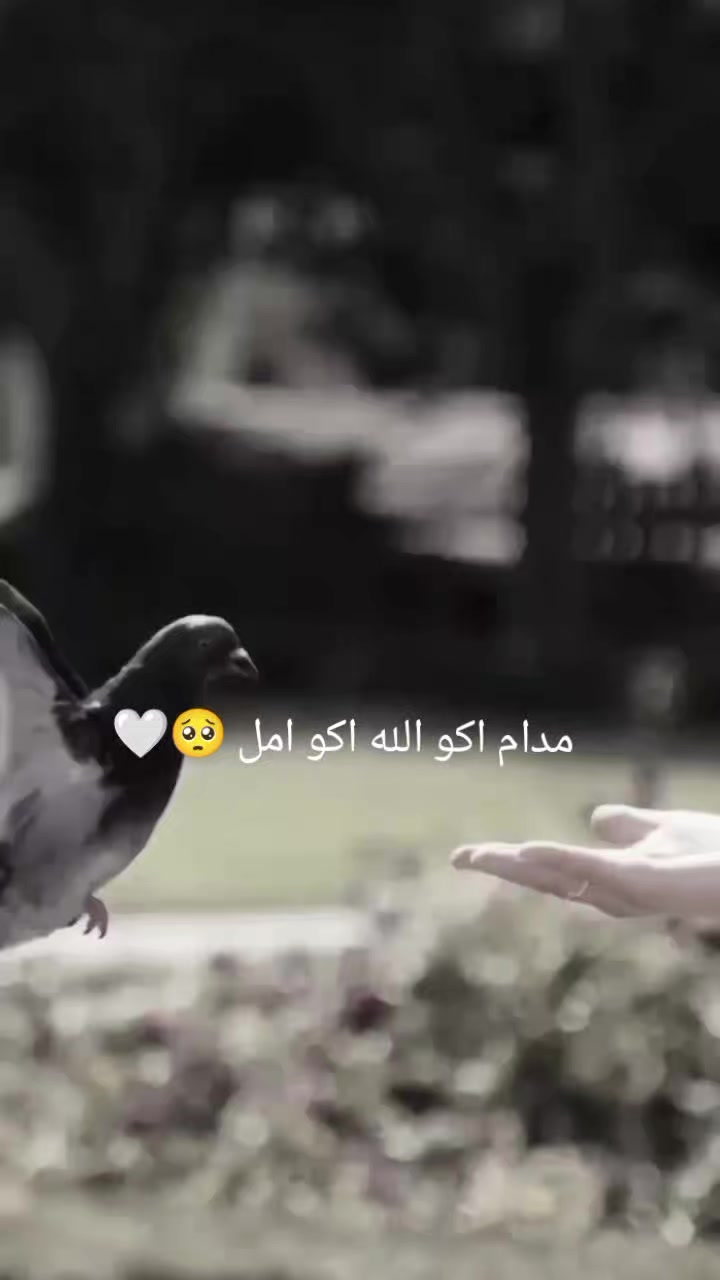 @𝓩𝓐𝓗𝓡𝓐𝓐