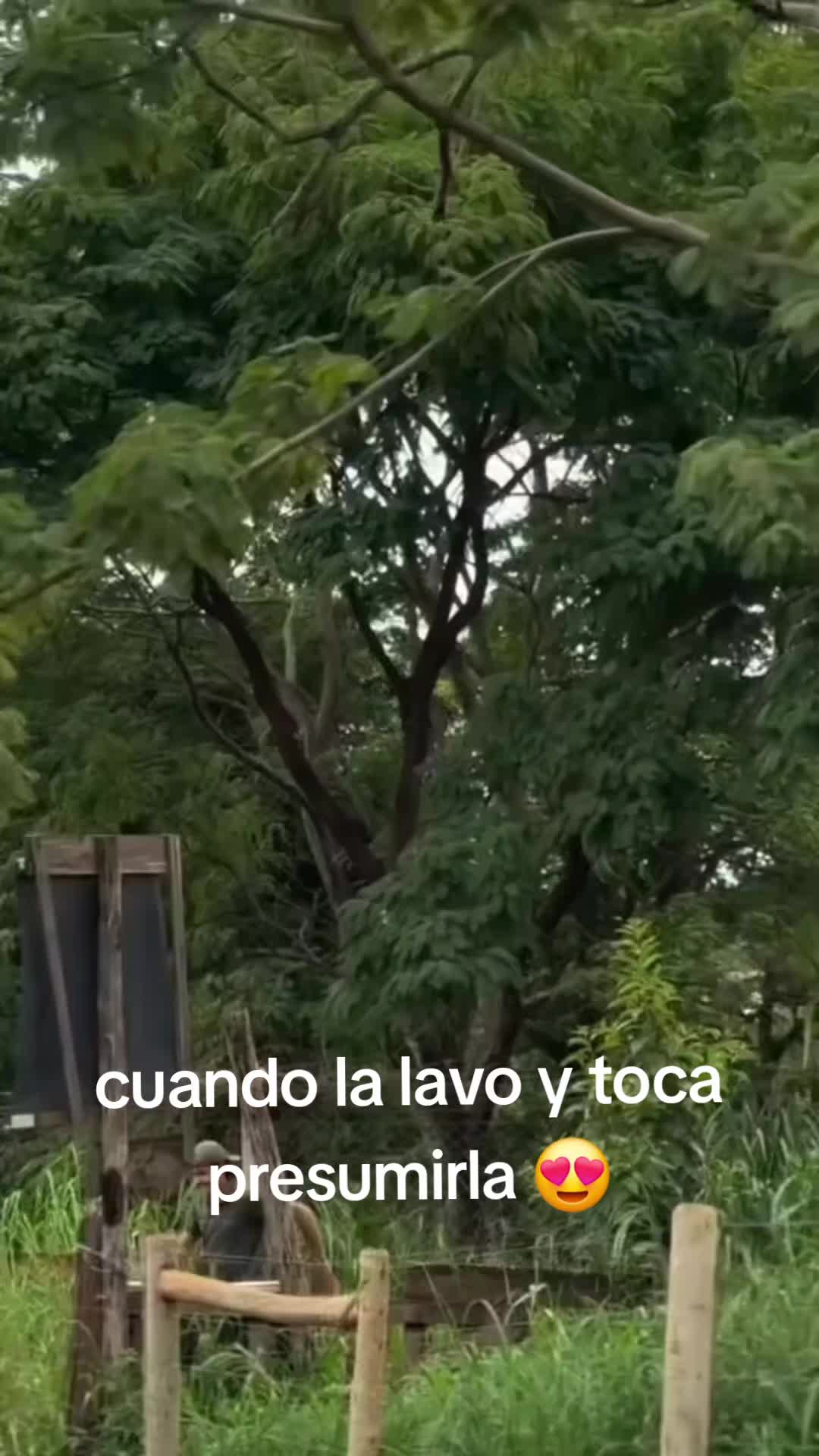 @CesaarPardo