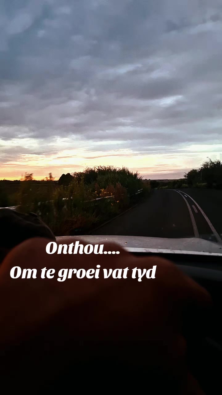 @Bees Strydom