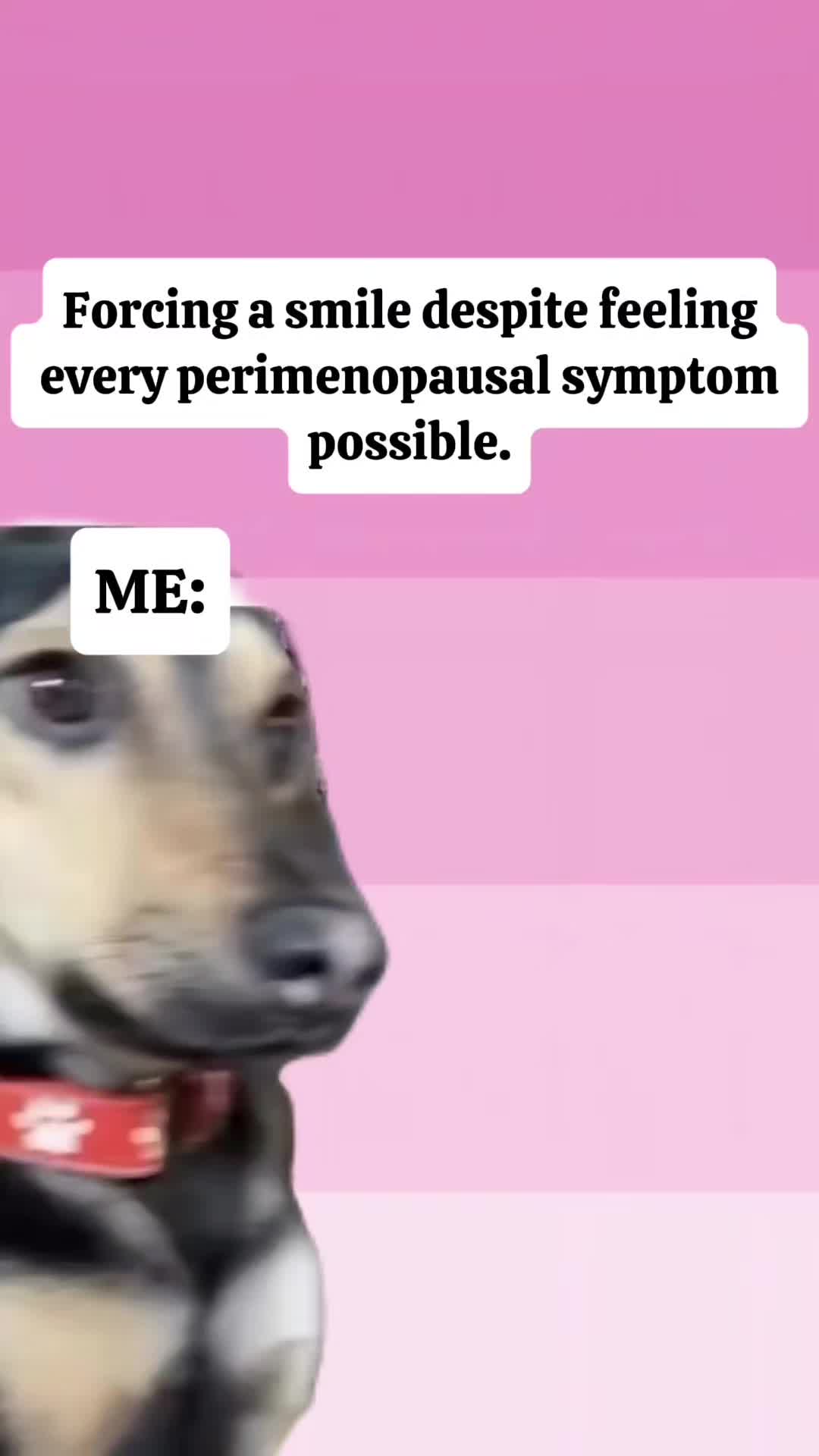 @Lana 🌺🌻🦮🐕🦺🌱🪴