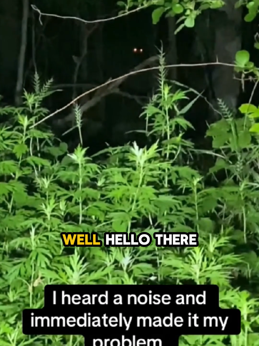 @DarkMoose