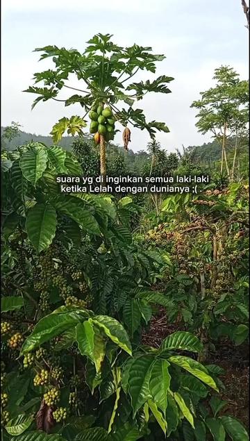 @PetaniMuda