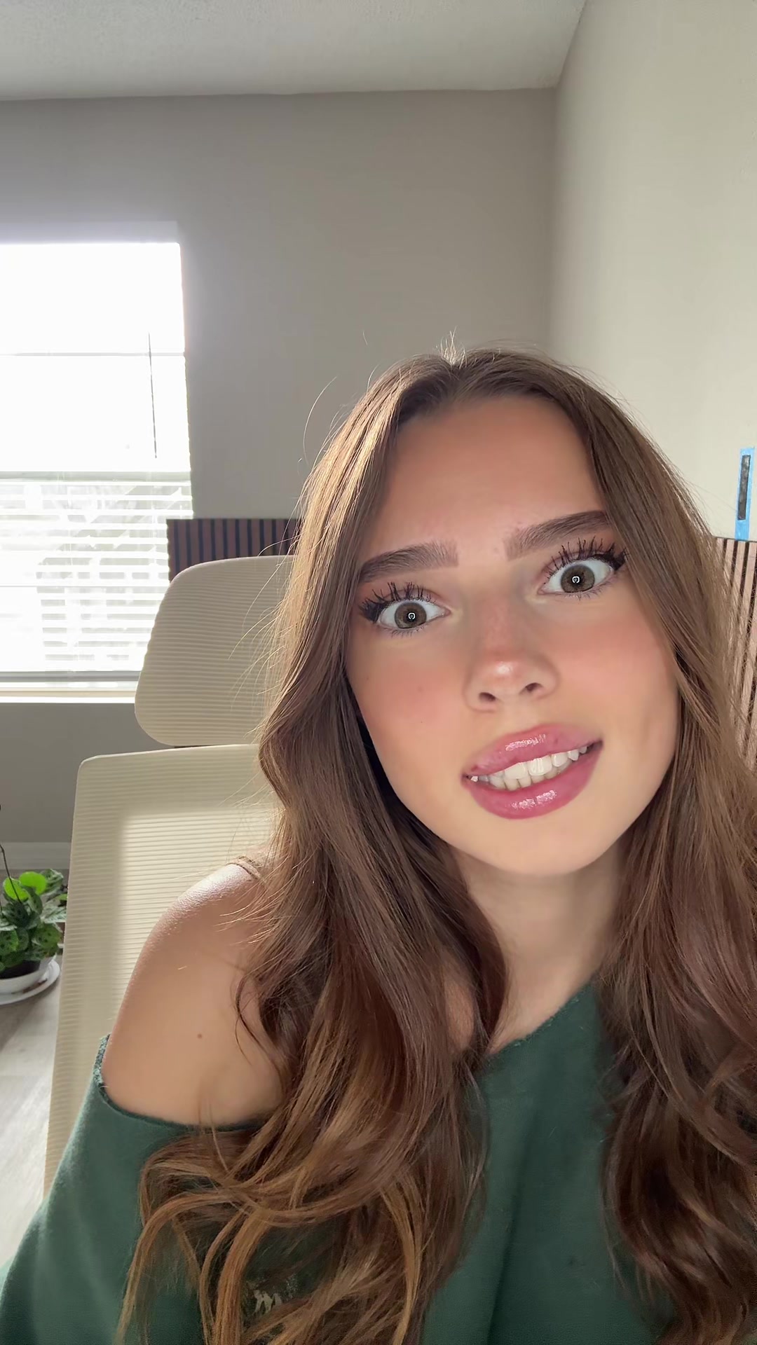 @DiaKoala 🐨