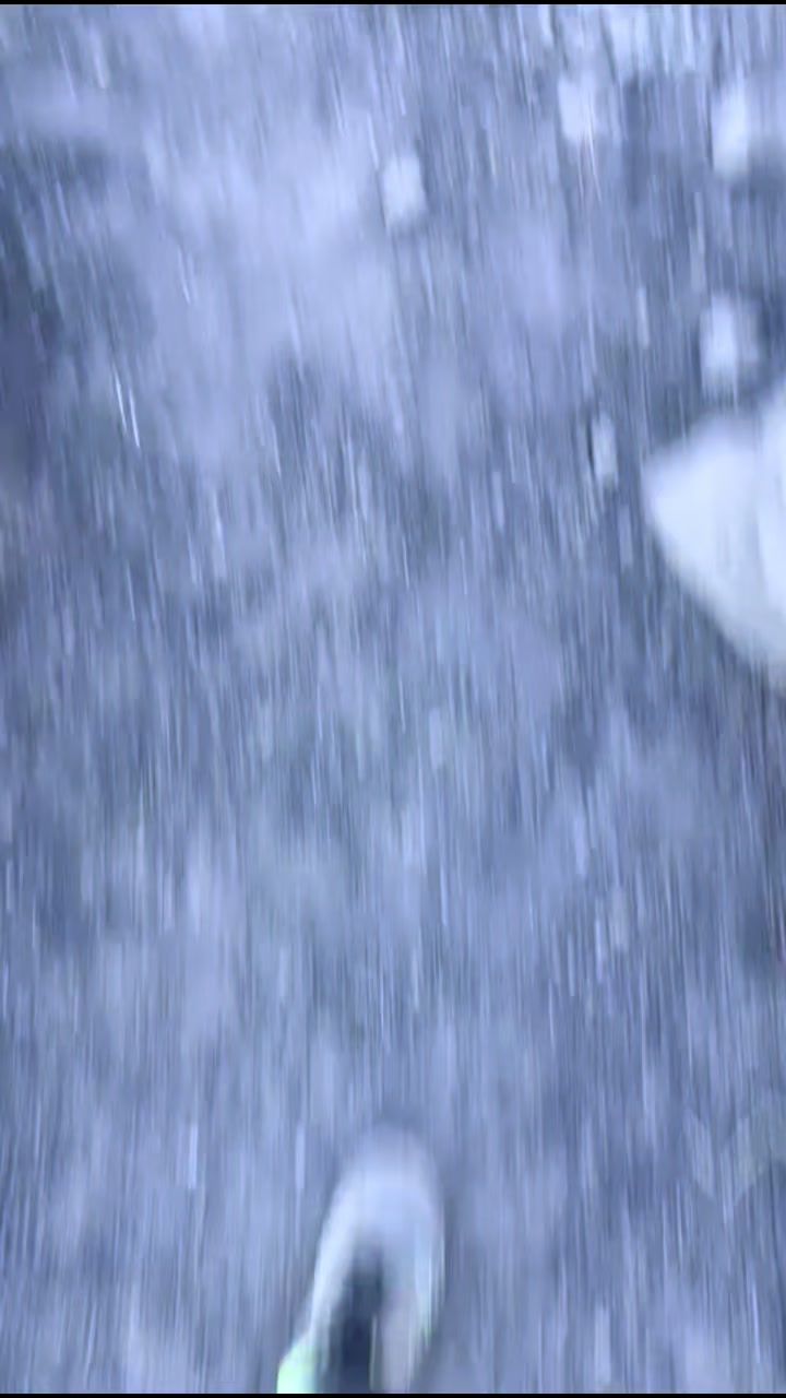 @Dani🕷️