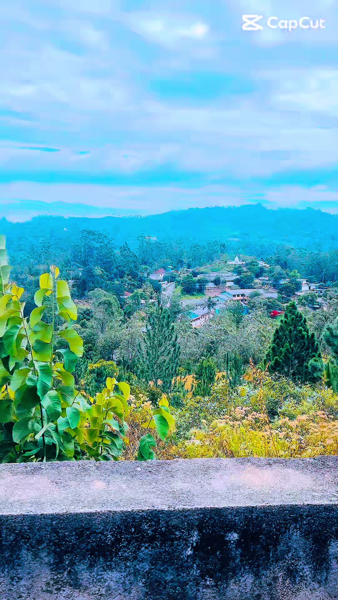 @hiru niki