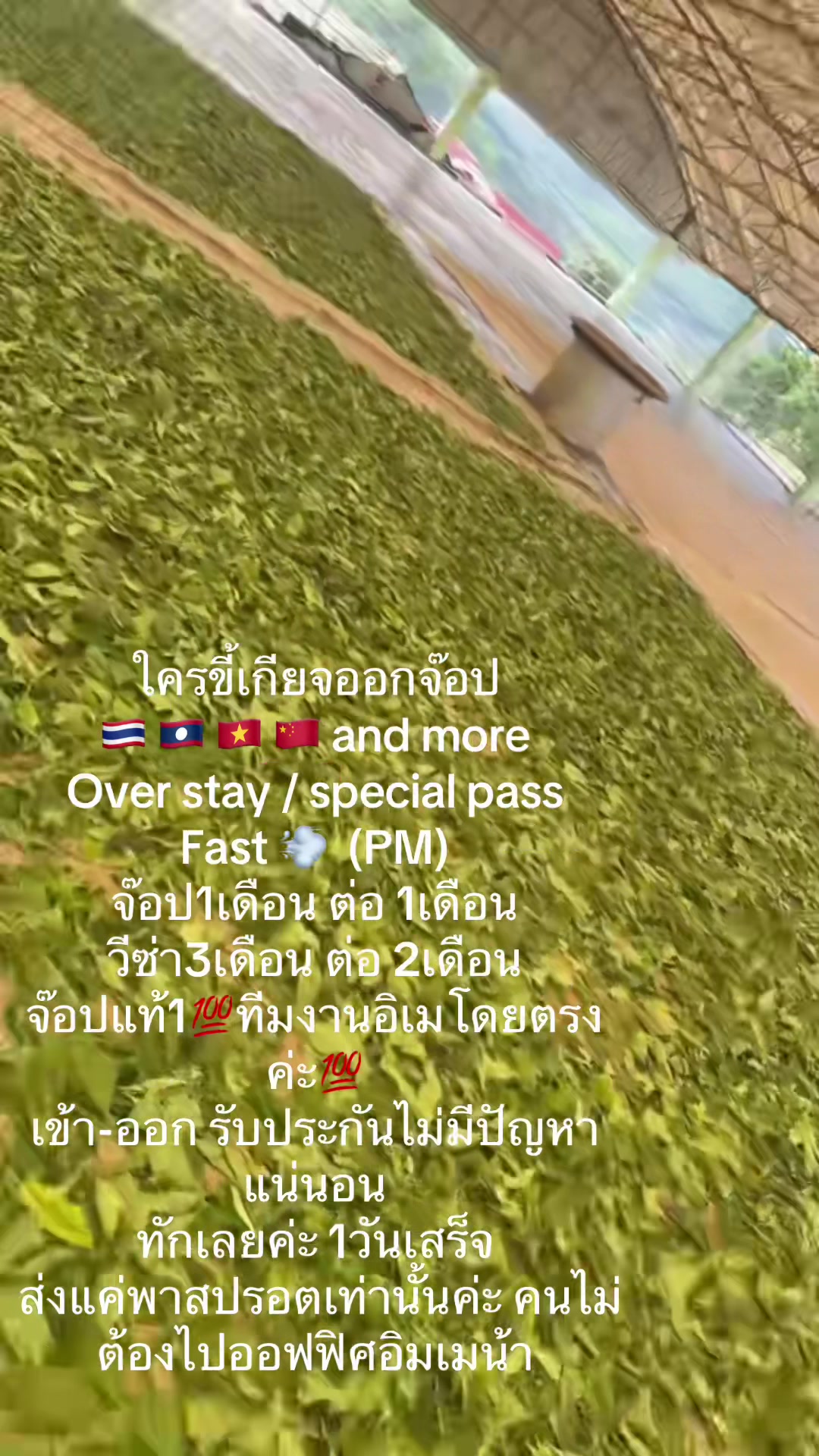 @晓芳 🫦ฟัง