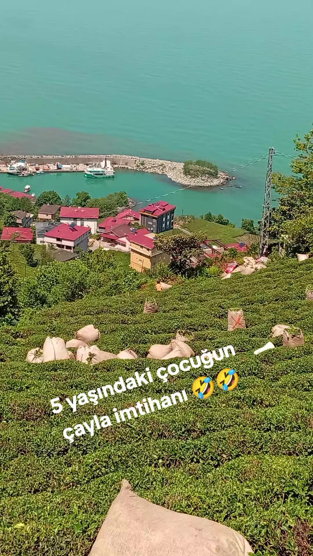 @KorKut_28