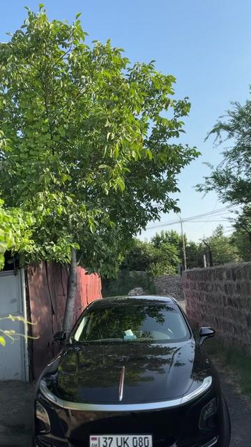 @Lyov_555🇦🇲