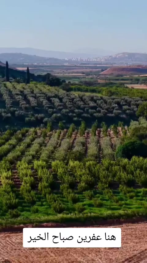 @عبدالرحمن عمر