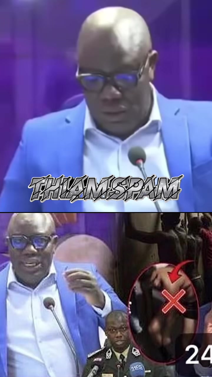 @ThiamSpam🔥
