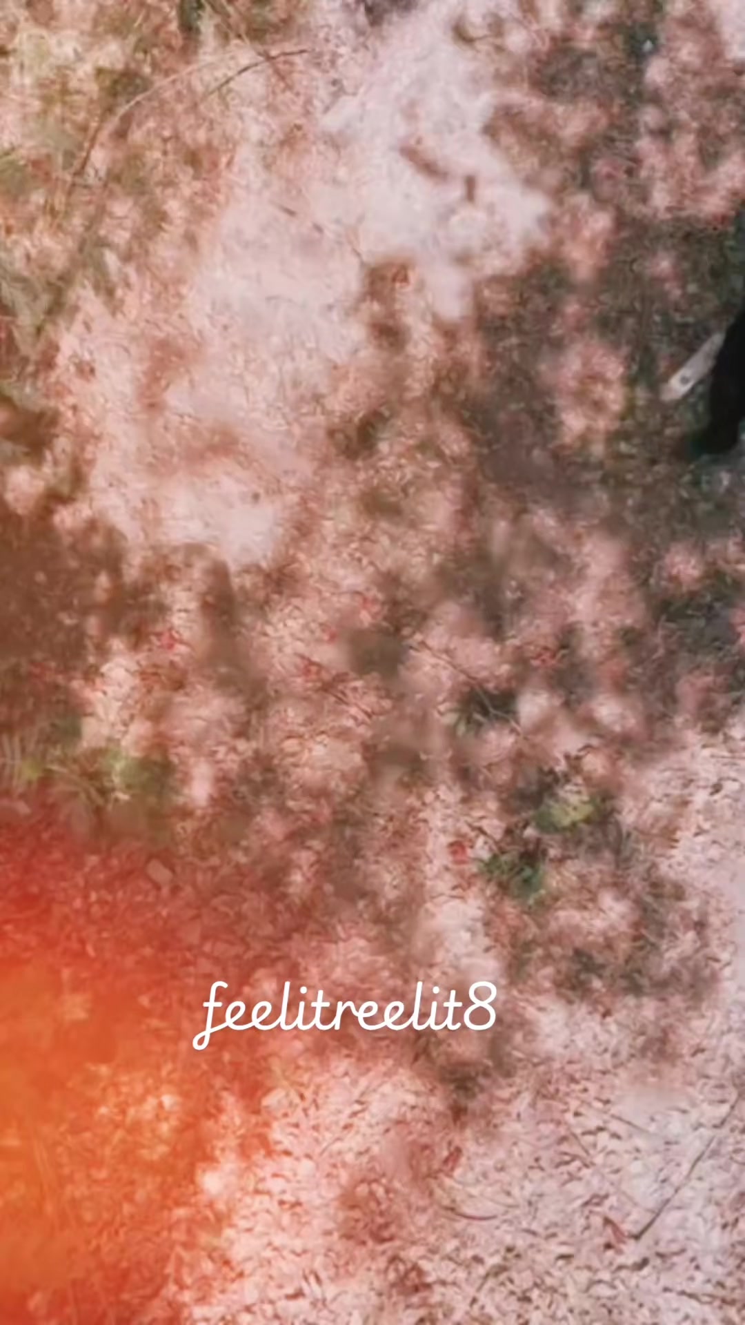 @feelitreelit