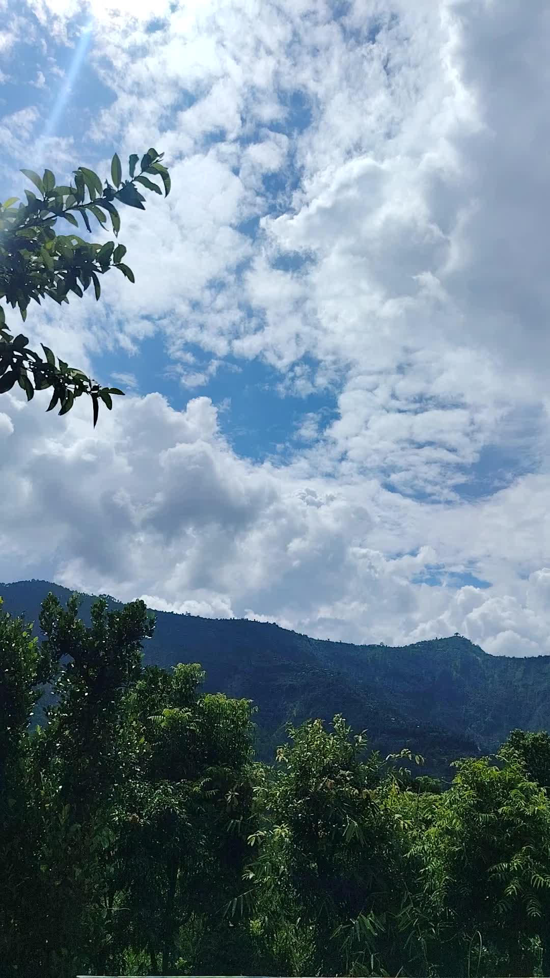 @Situ Kandel(ahimshaa)