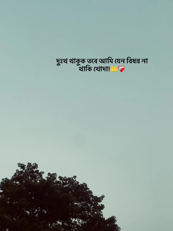 @mee.rocky🧃
