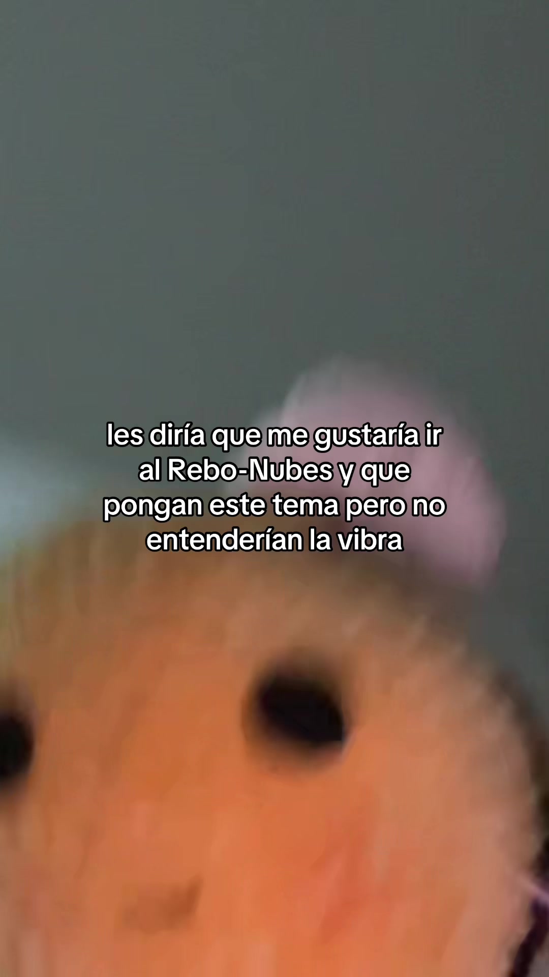 @valeki