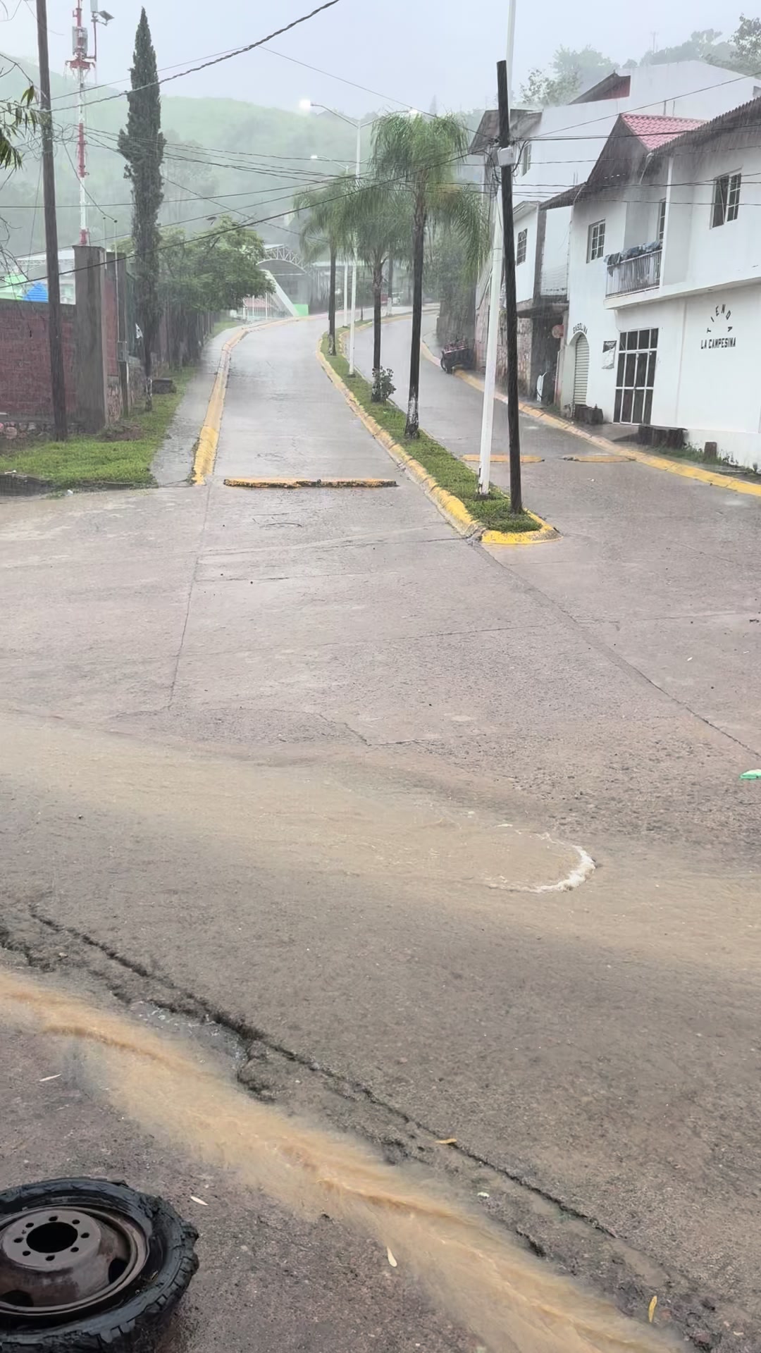 @Moy Osuna