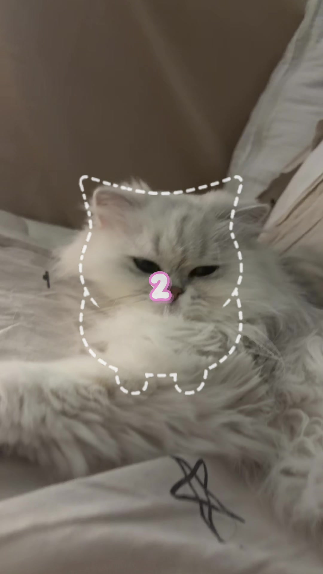 @Gizomi