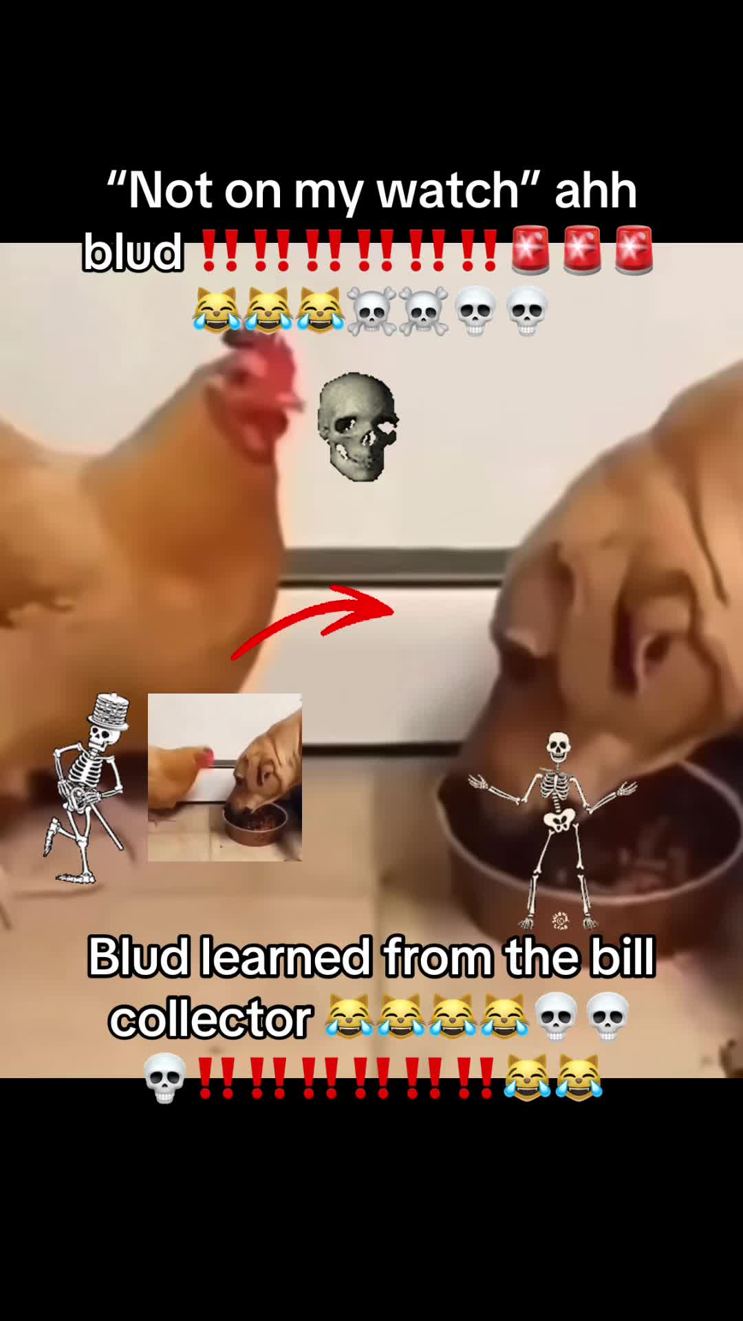 @FortniteClipz_24