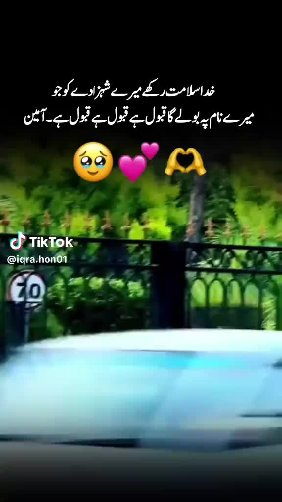 @Hina Malik