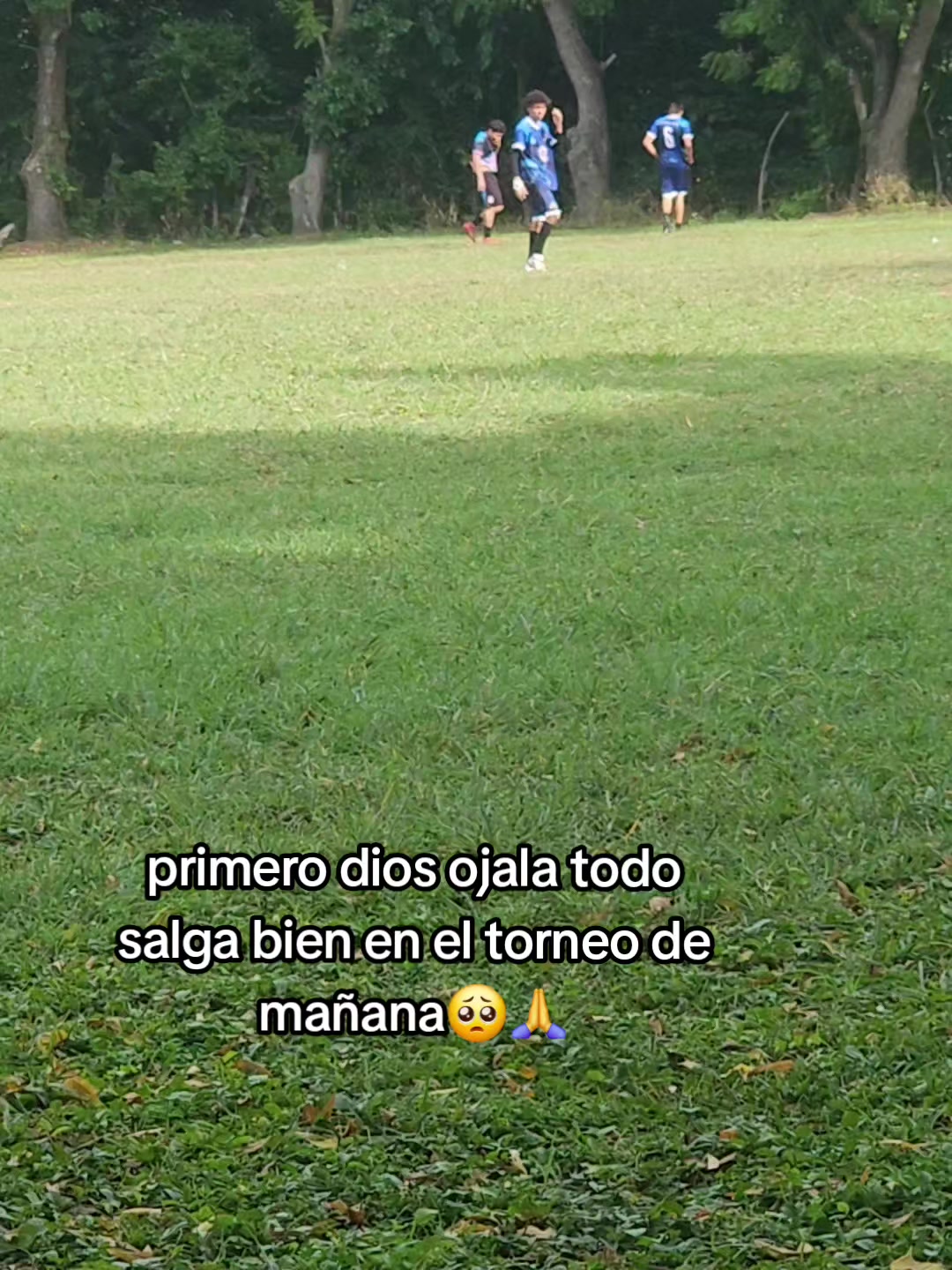 @josuediaz10