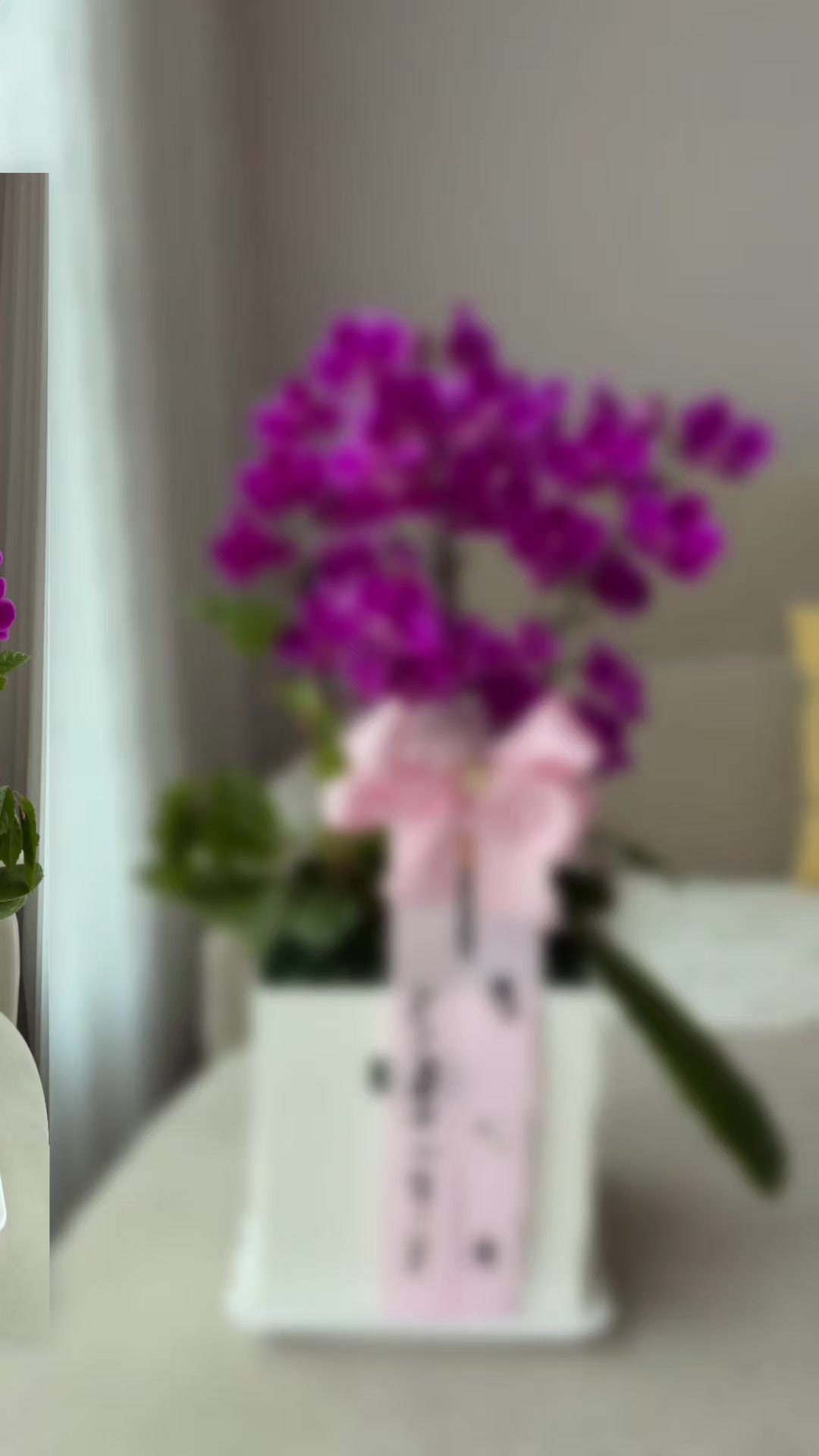 @⑅⃝♡༺-ஓீ͜ ۣۜ🦋유채꽃🦋 ͜ஓீ͜ ۣ༻⑅⃝♡