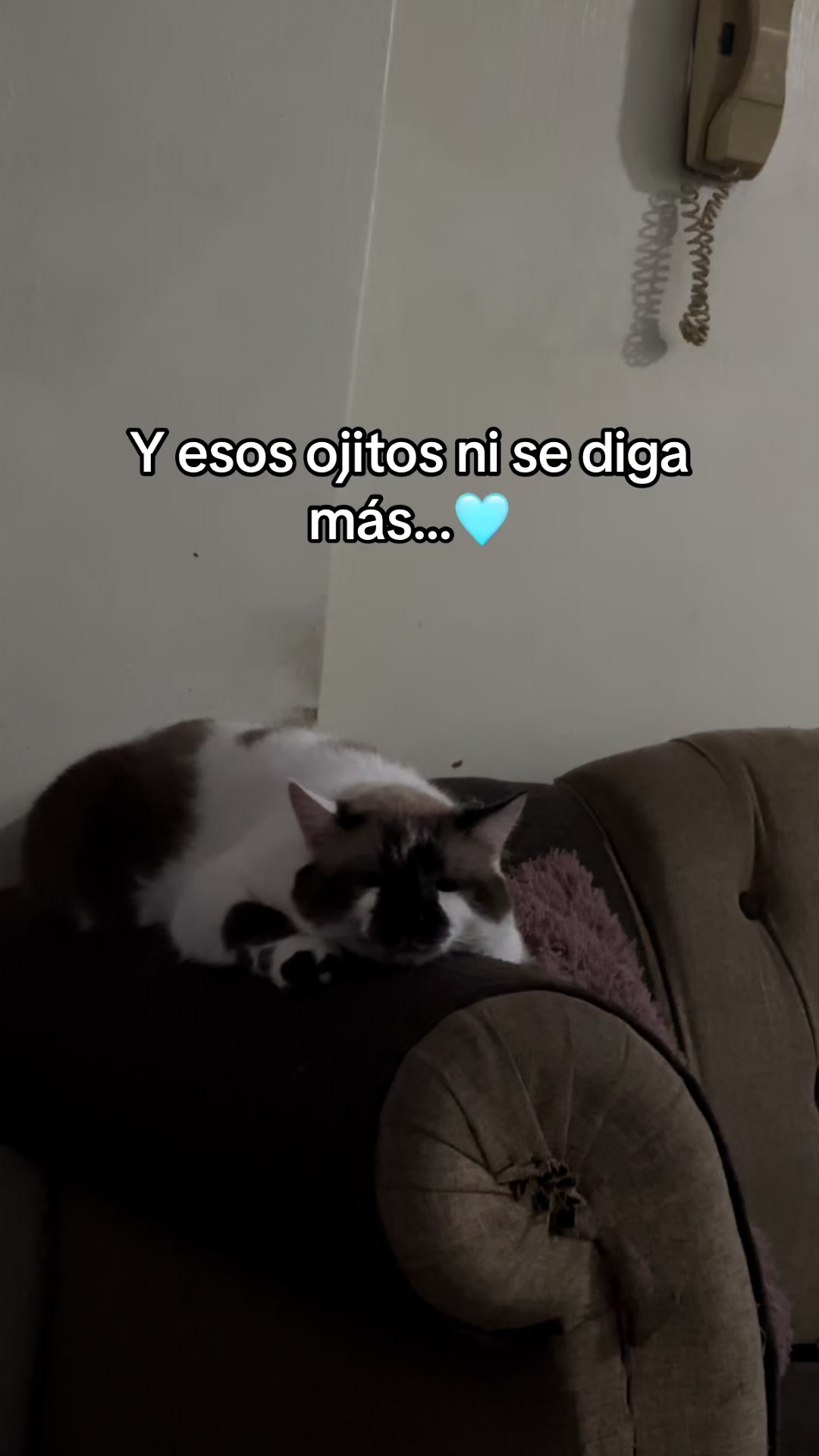 @Mich|