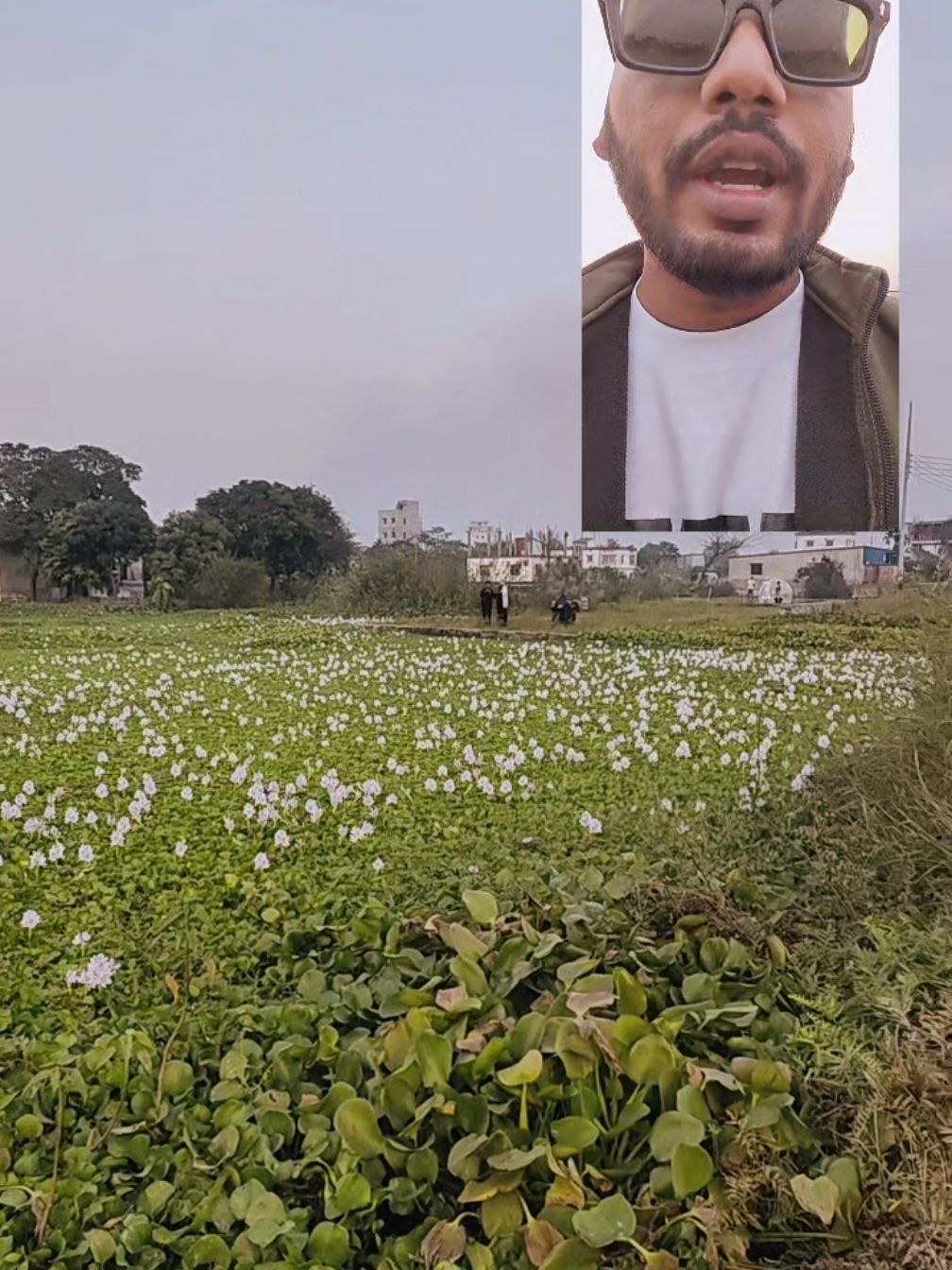 @Alo Chaya - আলো ছায়া
