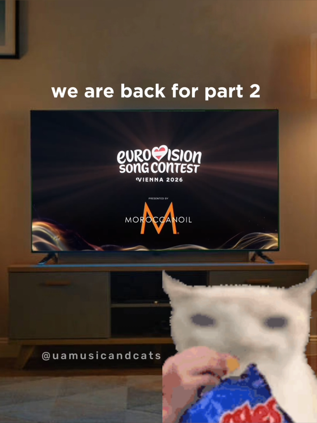 @🎧 музика і котики 🐱