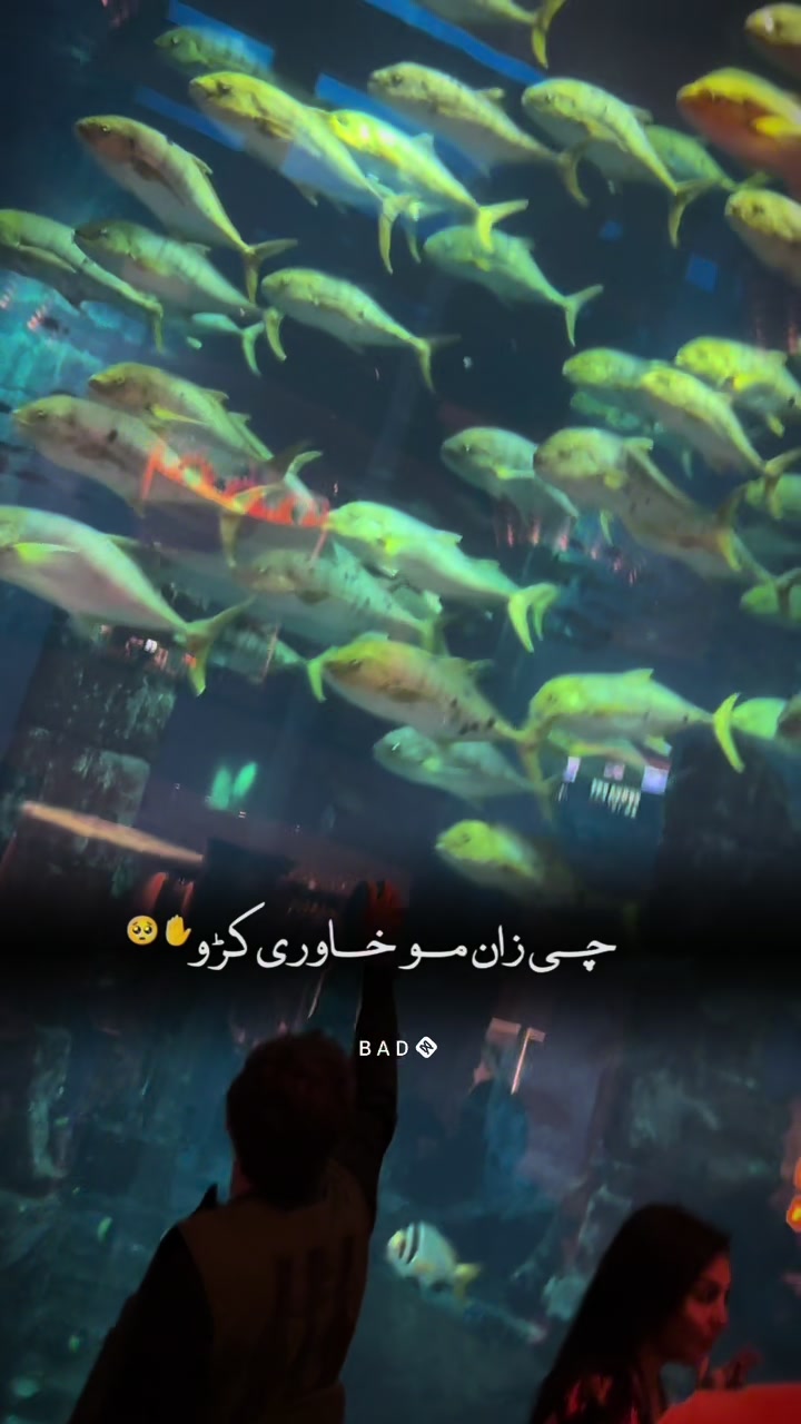 @Qalil Qalandar__1 🦅