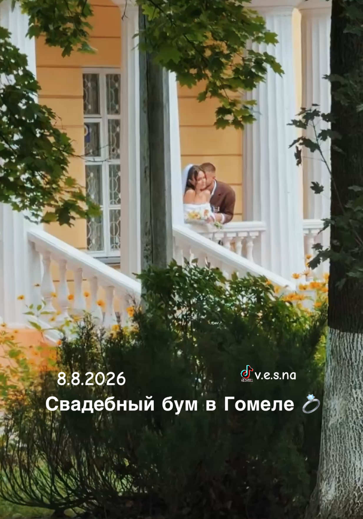 @vesna