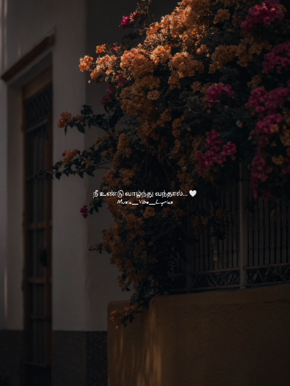 @Music_Vibes_Lyrics 🎶