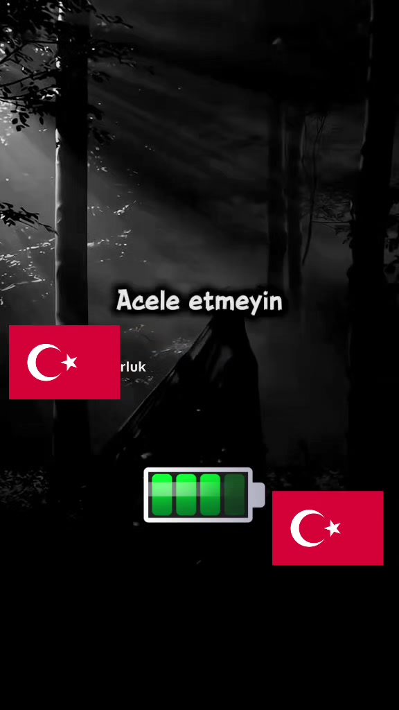 @WOLFMENTÜRK