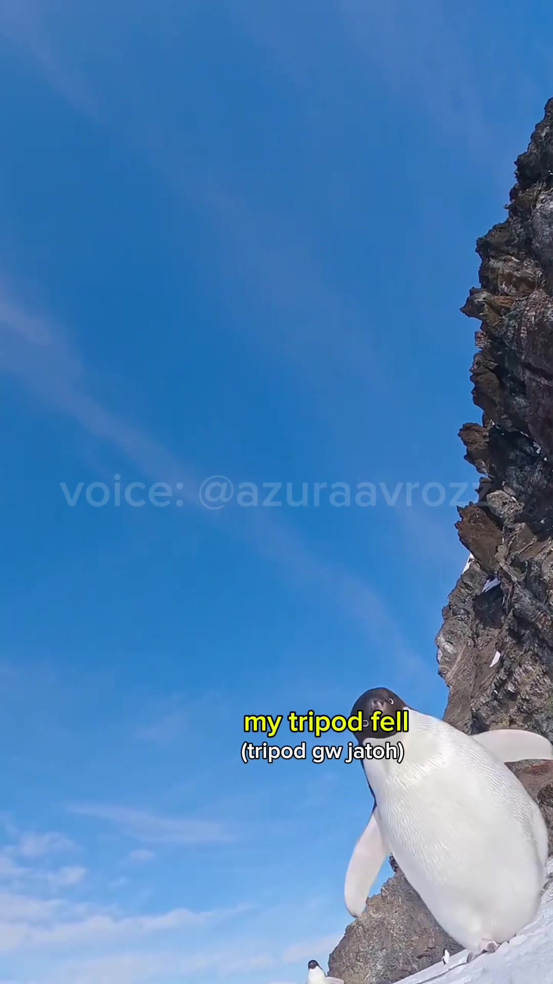@AzuraaVrozz 侍