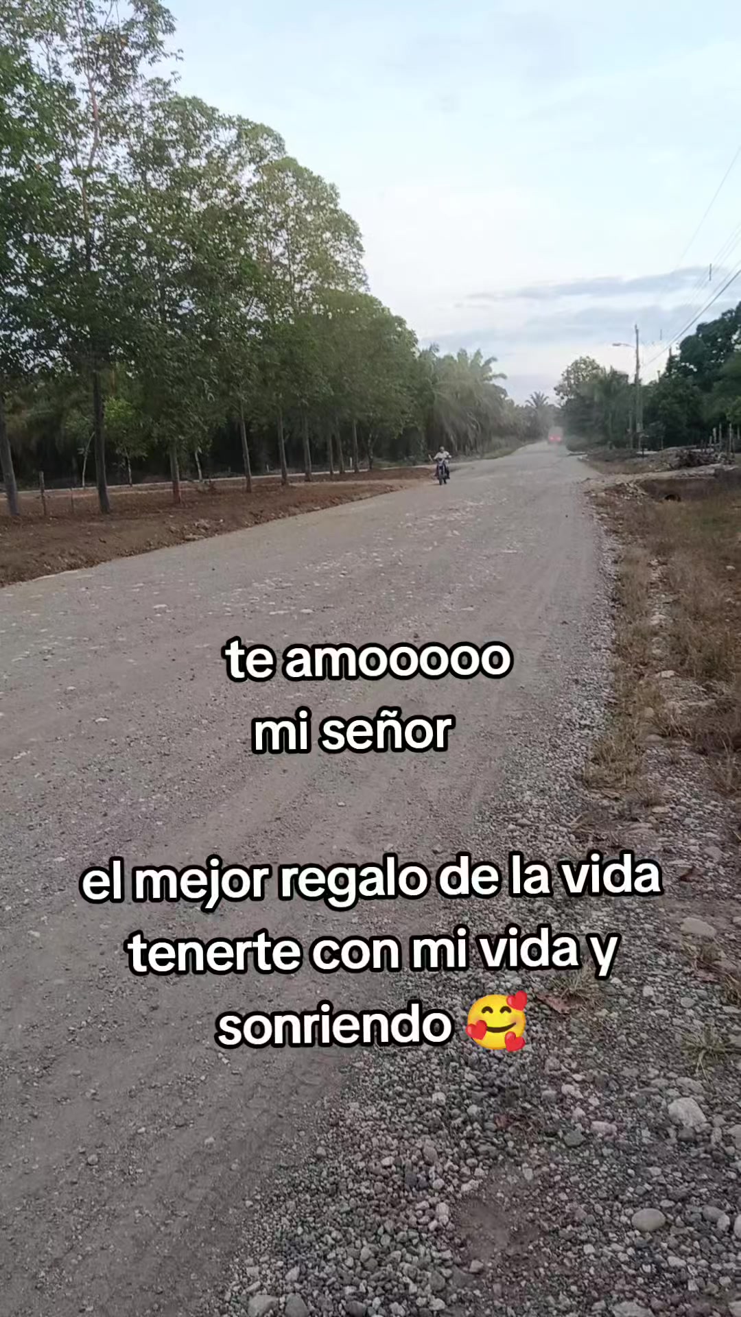 @gatita Zu