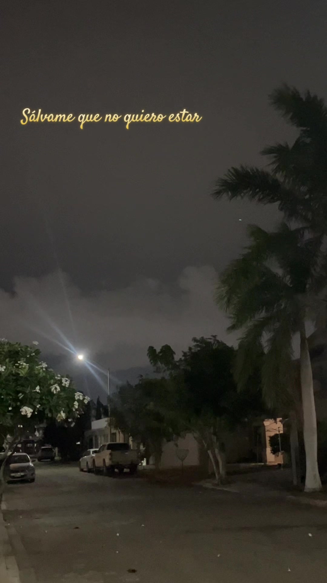 @Esp&iacute;ritu de f&eacute;nix 🐦&zwj;🔥