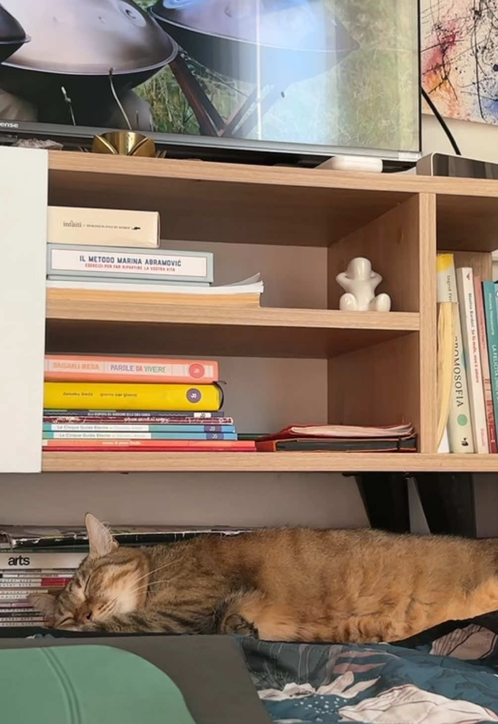 @Life with Kokoro the cat