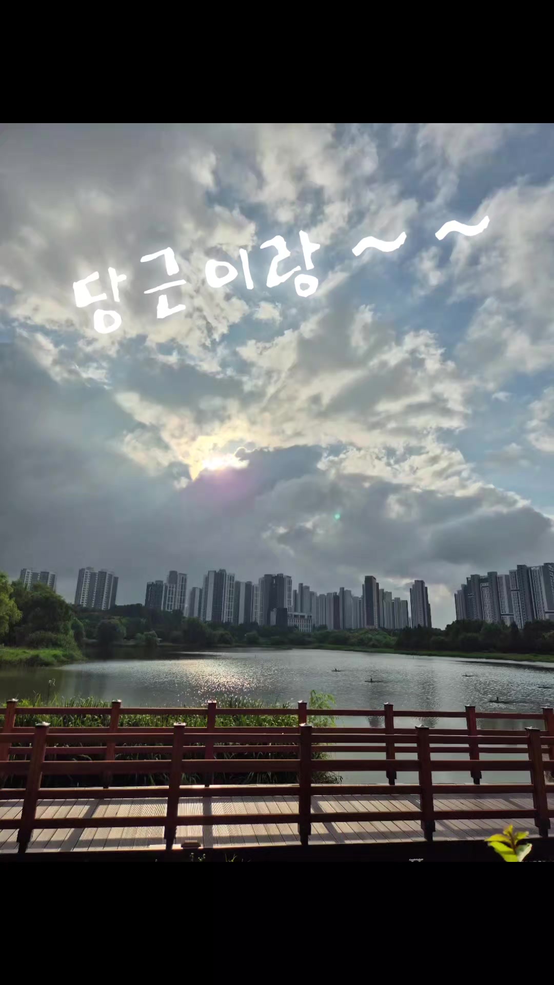 @드기아재