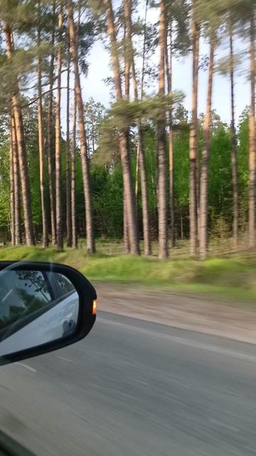 @Шагида888