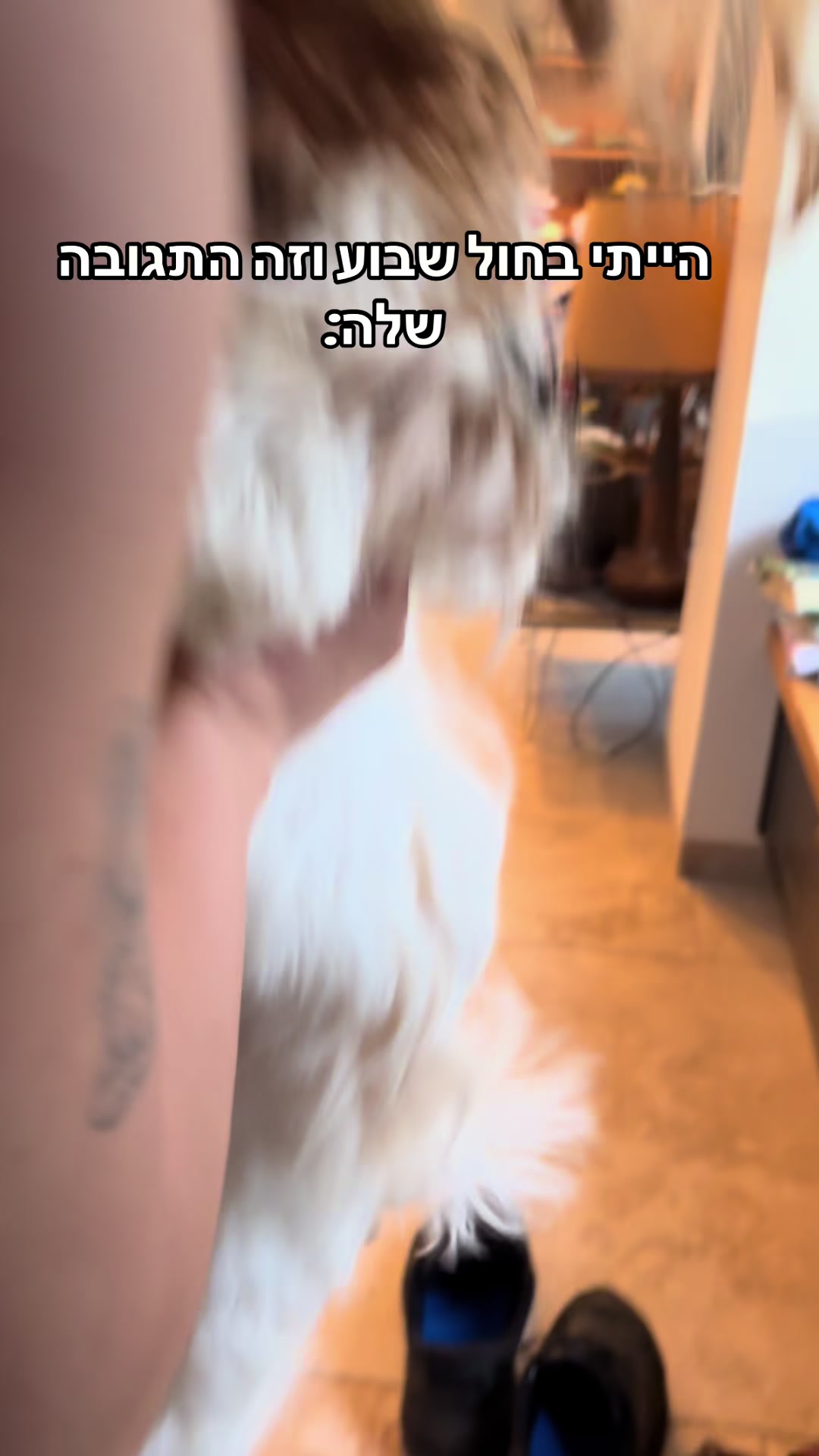 @מוגייייייי