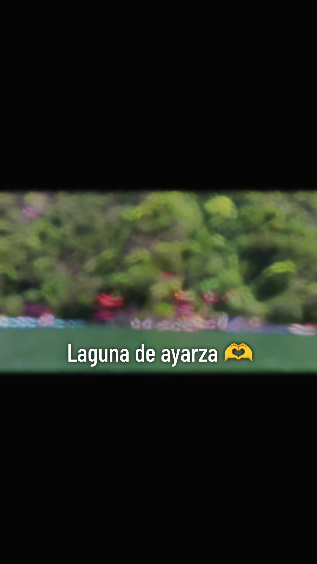 @A Chival&aacute;n💐🌺