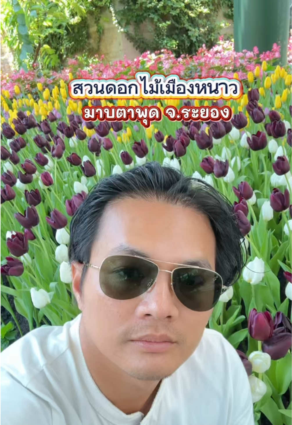 @ben เบน