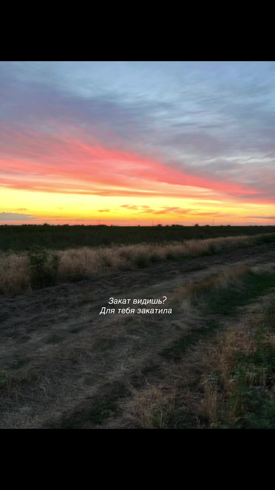 @MVikaaa._