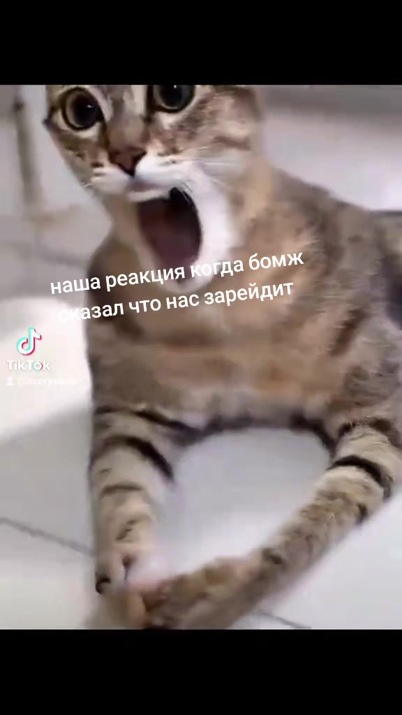 @❌ позывной шмель ❌