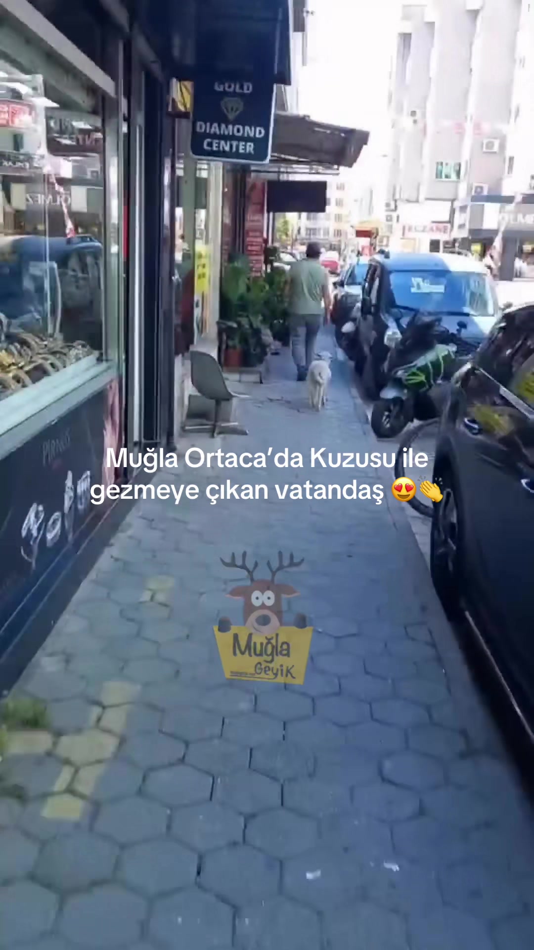 @Muğla Geyik