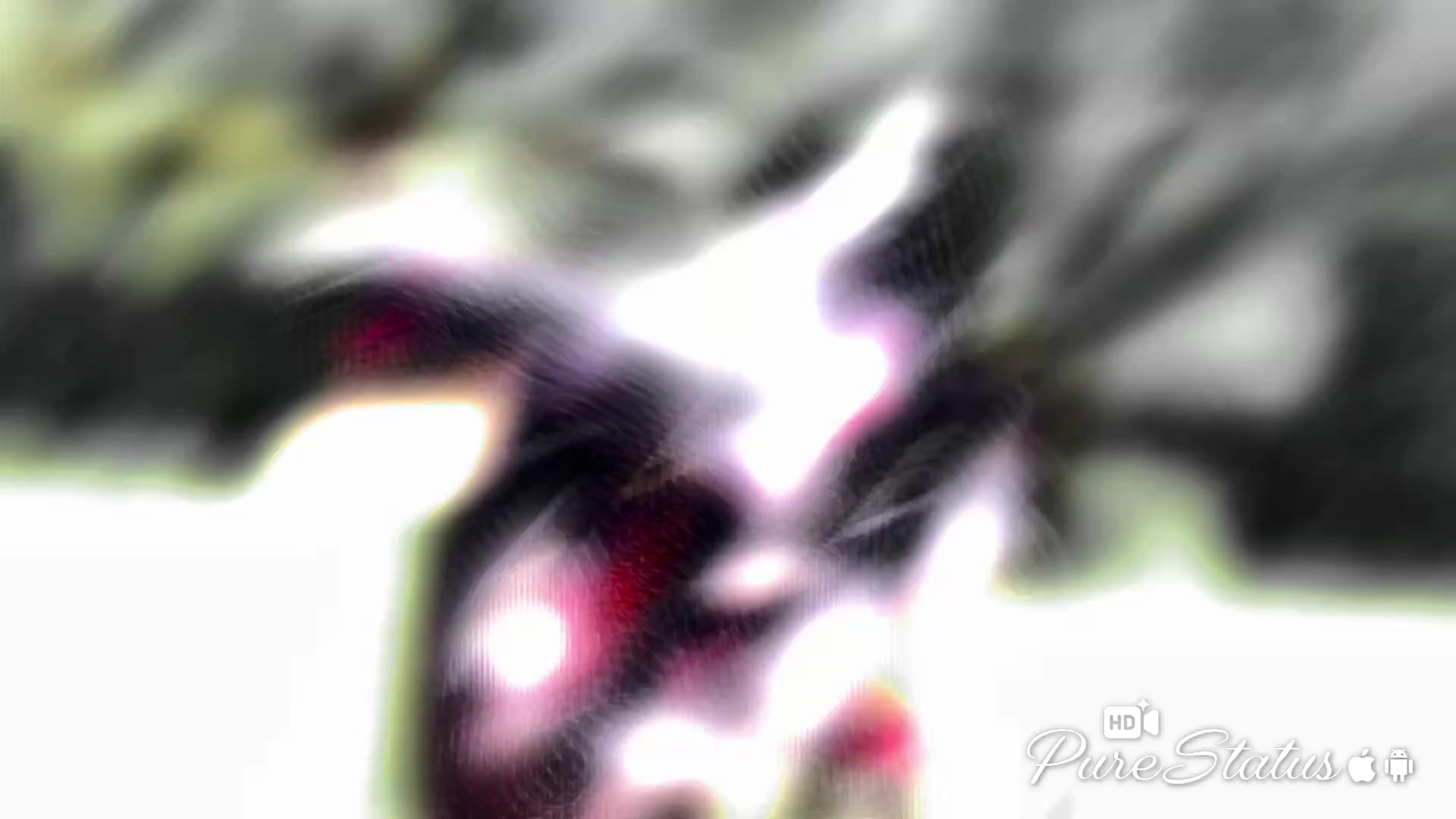 @┃ශාන් _ 𝐒 𝐓 𝐀 𝐓 𝐔 𝐒 ᥫ᭡֟֟