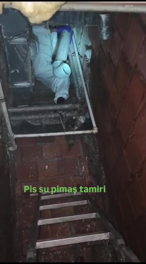@seyit1313
