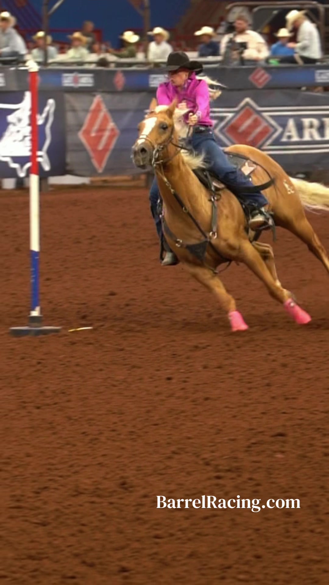 @BarrelRacing.com
