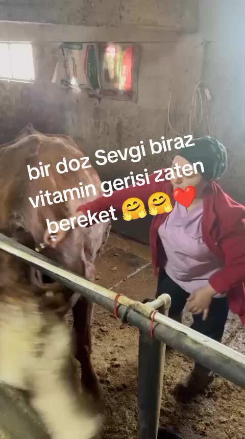 @Nuriye Bicil