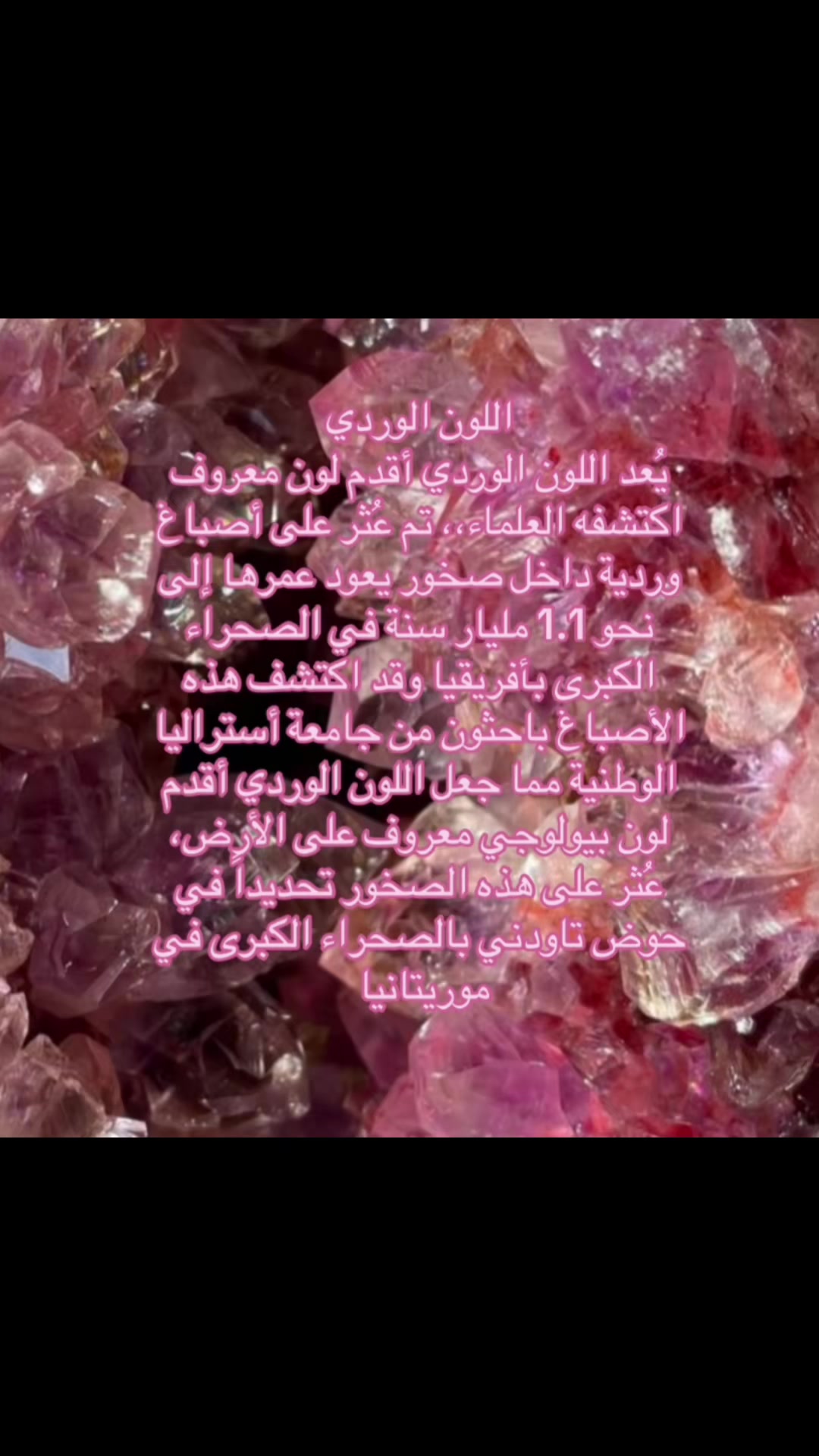 @.🩷𝐒𝐞𝐛𝐚/𝐡𝐢𝐬𝐭𝐨𝐫𝐲